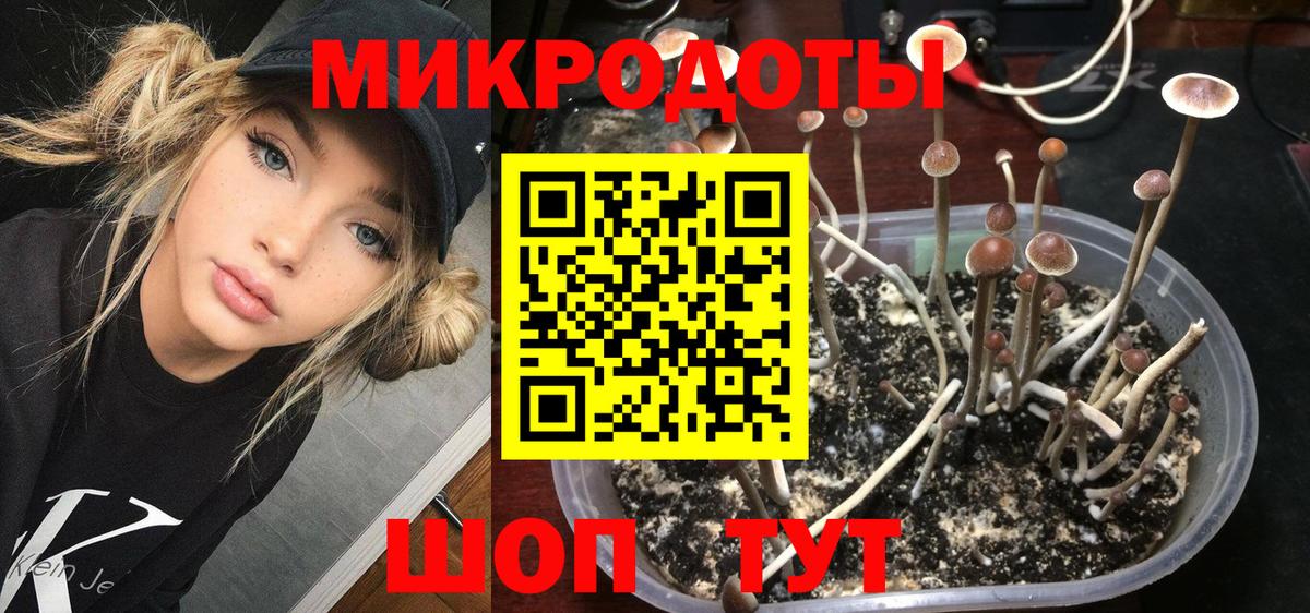 даркнет сайт  Вход с VPN  Усть-Илимск  Псилоцибиновые грибы ЛСД 