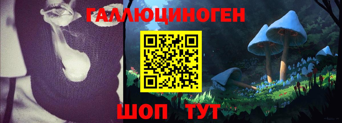 Меф Усть-Илимск
